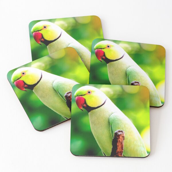 Item preview, A Rose-ringed Parakeet, Psittacula krameri, also known as Ring-necked Parakeet designed and sold by Artsy Boulevard.