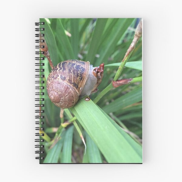 Item preview, Snail designed and sold by Red Wolf.
