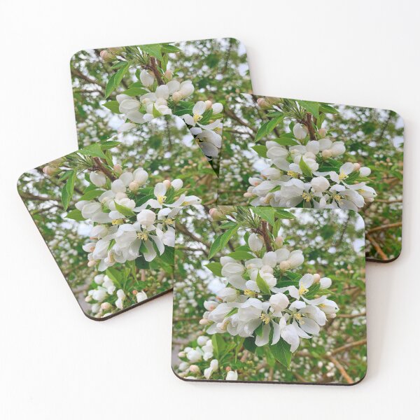 Item preview, Cherry Creek Trail Spring 2021 Study 1  designed and sold by Robert Meyers-Lussier.
