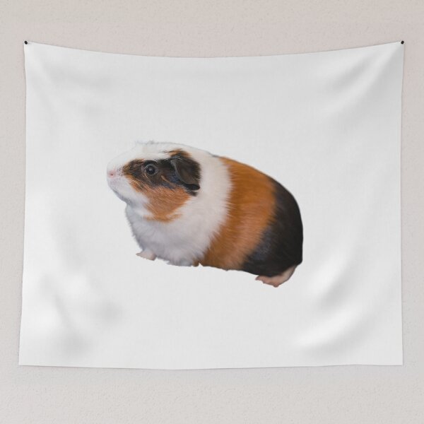 Item preview, Guinea Pig designed and sold by CS Cairo.