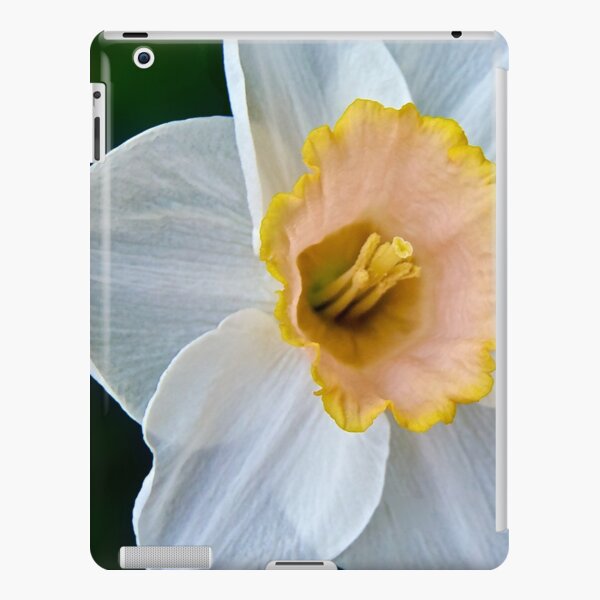 Salmon Daffodil iPad Snap Case