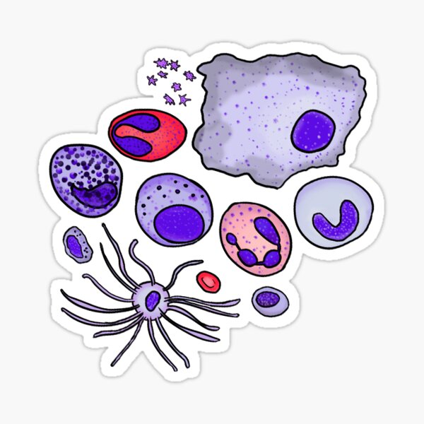 Item preview, Hematology designed and sold by lifewithjuan.