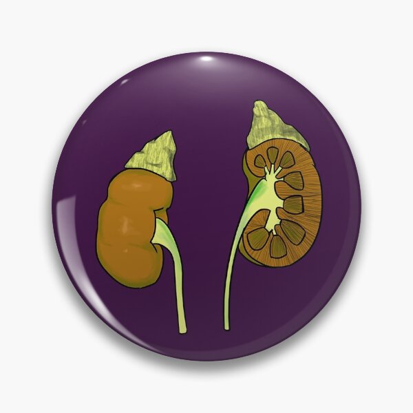 Item preview, Kidneys and Adrenals designed and sold by lifewithjuan.