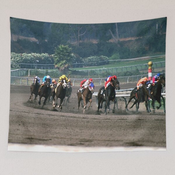 Item preview, Horse racing track designed and sold by KnitNknot.