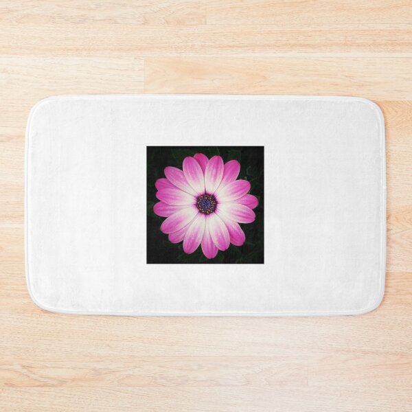 Item preview, Osteospermum designed and sold by Darren Stones.