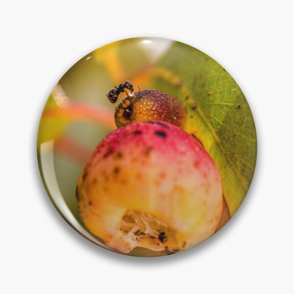 Item preview, Hermosas creaciones de la naturaleza designed and sold by BCImagery.