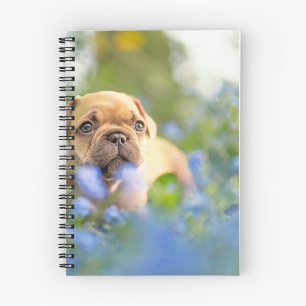 Item preview, French bulldog puppy in the blue flower field designed and sold by LuckyPictures.