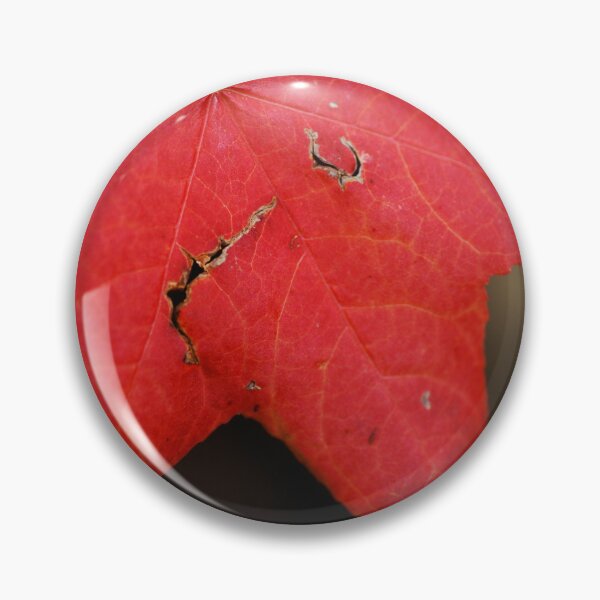 Item preview, Rich N Red Drama Leaf designed and sold by Joy Watson - Natural Light Photography .