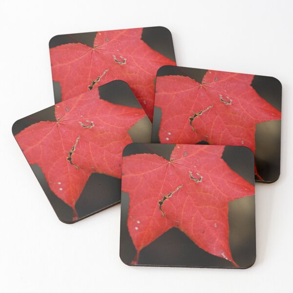 Artikelvorschau, Rich N Red Drama Leaf entworfen und verkauft von Joy Watson - Natural Light Photography .