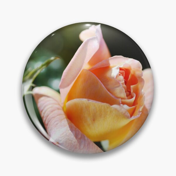 Item preview, April Rose Buds designed and sold by Joy Watson - Natural Light Photography .