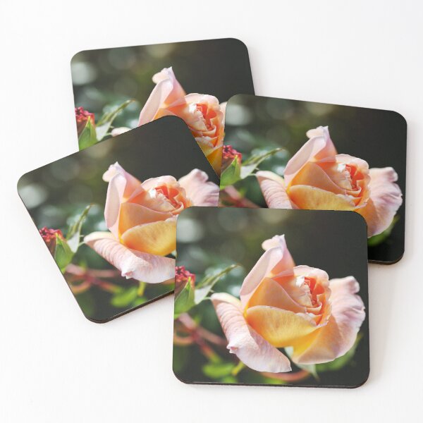Item preview, April Rose Buds designed and sold by Joy Watson - Natural Light Photography .