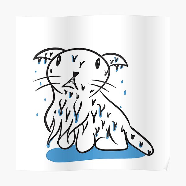 Wet Cat Posters for Sale | Redbubble Wet Cat Posters for Sale | Redbubble