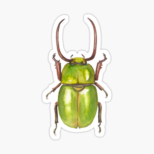 Insecte vert Sticker