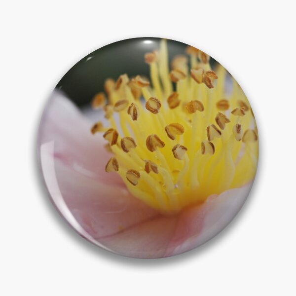 Item preview, The Floating Yellow Pink Camellia Flower  designed and sold by Joy Watson - Natural Light Photography .