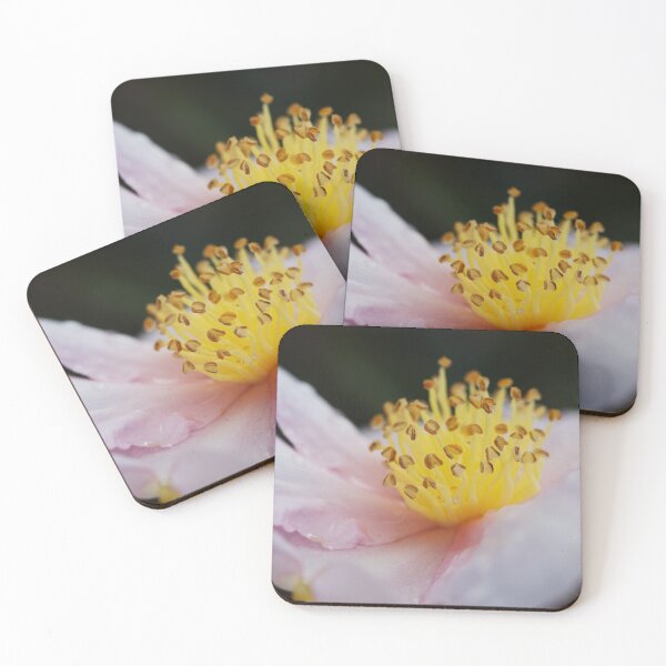 Item preview, The Floating Yellow Pink Camellia Flower  designed and sold by Joy Watson - Natural Light Photography .