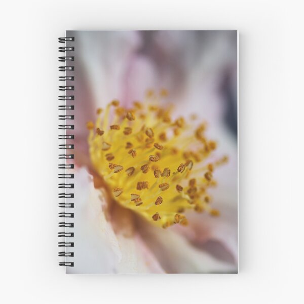 Item preview, Pink Camellia Japonica Flower designed and sold by Joy Watson - Natural Light Photography .