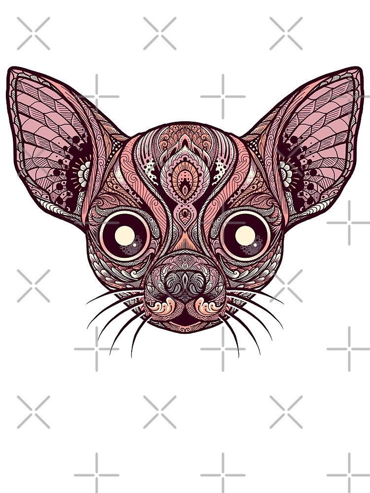 Sphynx by angoes25