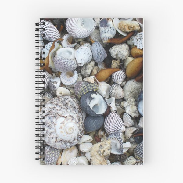 Item preview, Seashell Beach designed and sold by KaSaPo.
