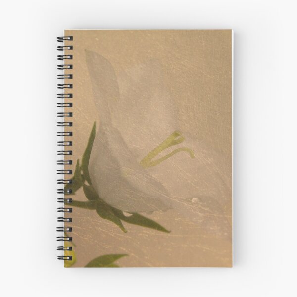 Item preview, White Campanula designed and sold by wovenbright.