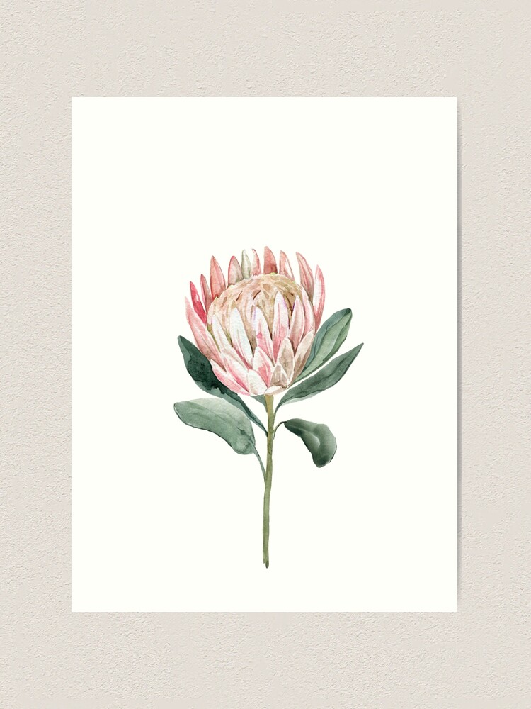 絵画 額縁付 プロテア protea Protea Cross Stitch Pattern 4 Instant PDF Download - Protea
