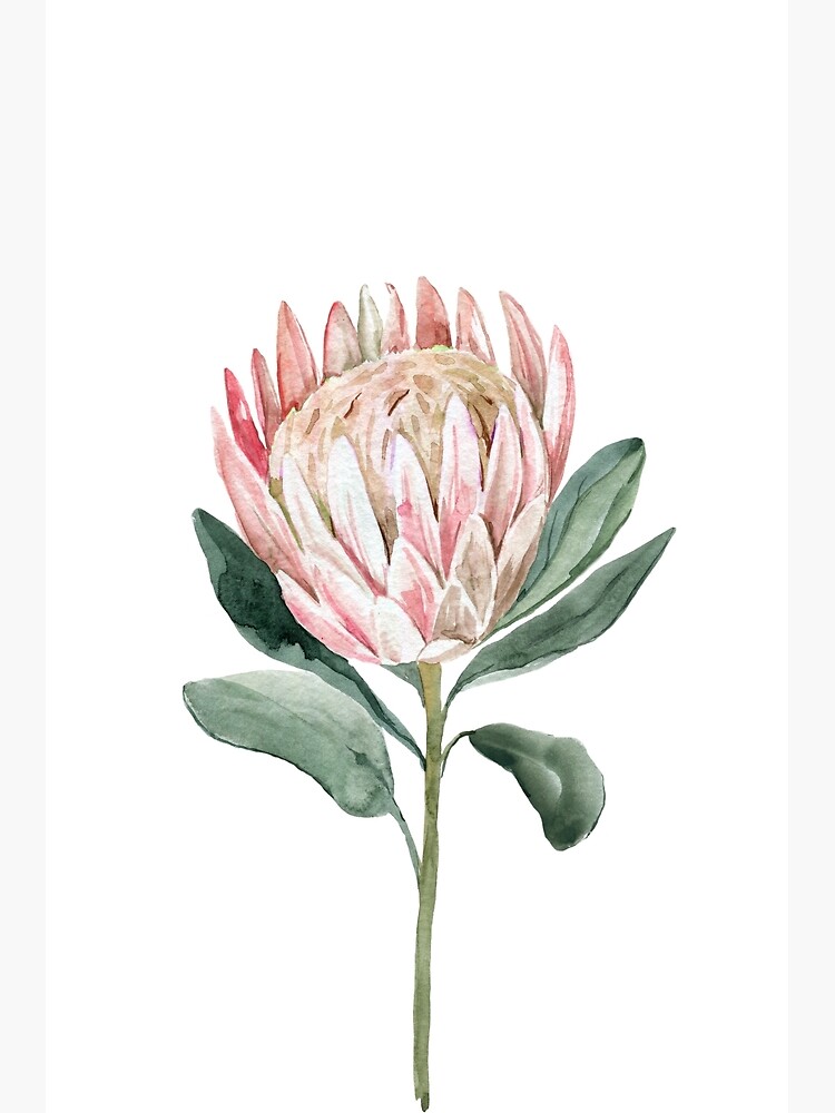絵画 額縁付 プロテア protea fpp,large,lustre,wall_texture,