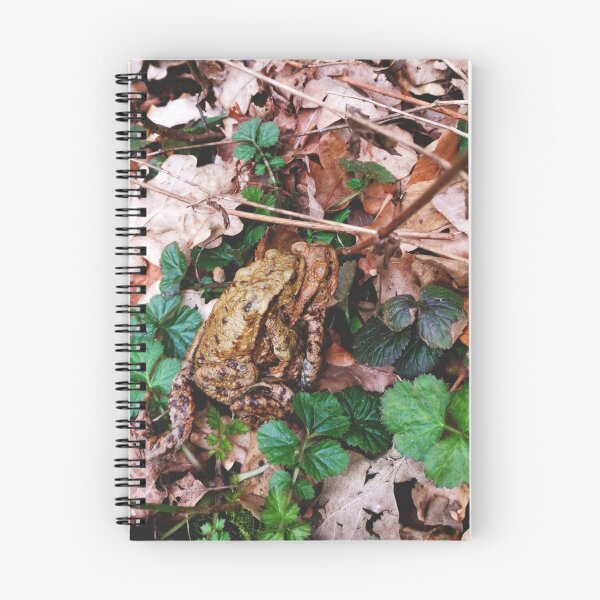 Item preview, Frog piggyback designed and sold by OMdesigns93.