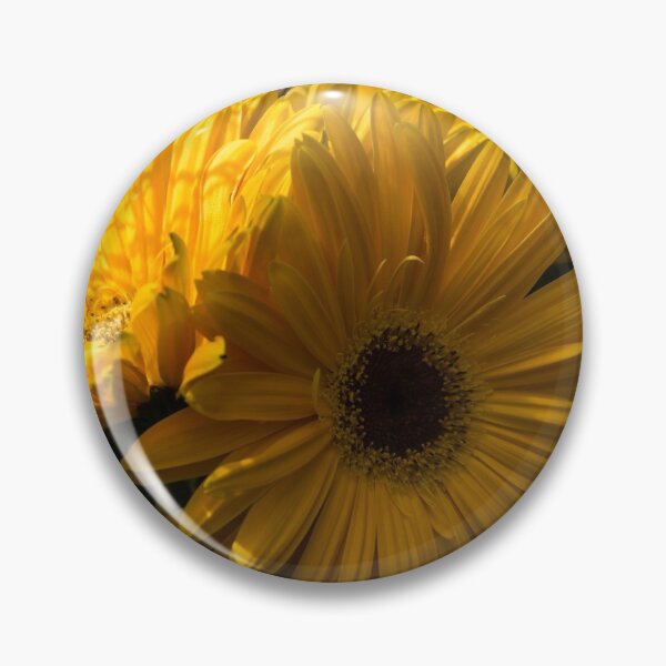 Item preview, Three Sunshine Yellow Gerbera Daisies designed and sold by Georgia Mizuleva.