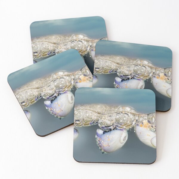 Item preview, three Violet snail (Janthina janthina) 12 designed and sold by Normf.
