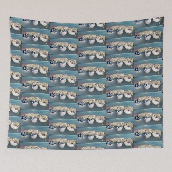 Item preview, three Violet snail (Janthina janthina) 12 designed and sold by Normf.