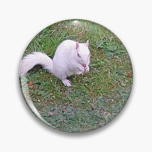 Item preview, Ardilla Albino designed and sold by Beccasax.