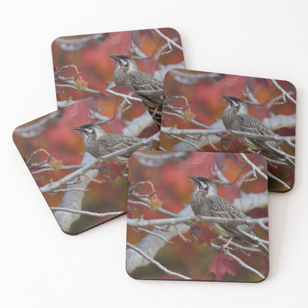 Item preview, Red Wattlebird  designed and sold by MargsNaturePix.