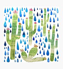 Cactus Rain Photographic Print