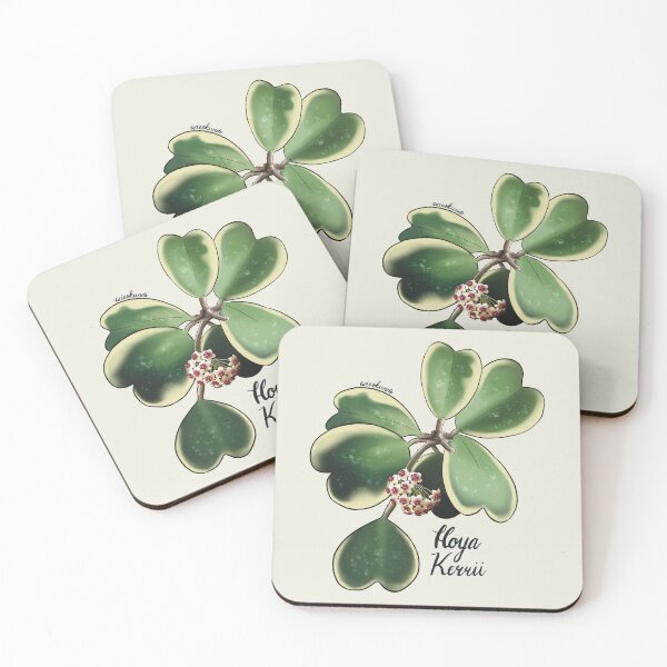 Item preview, Hoya kerrii albomarginata in bloom designed and sold by Wieskunde.