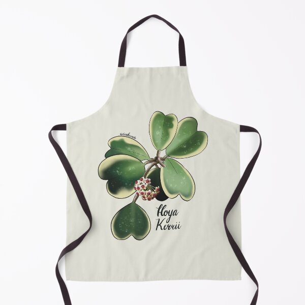 Item preview, Hoya kerrii albomarginata in bloom designed and sold by Wieskunde.