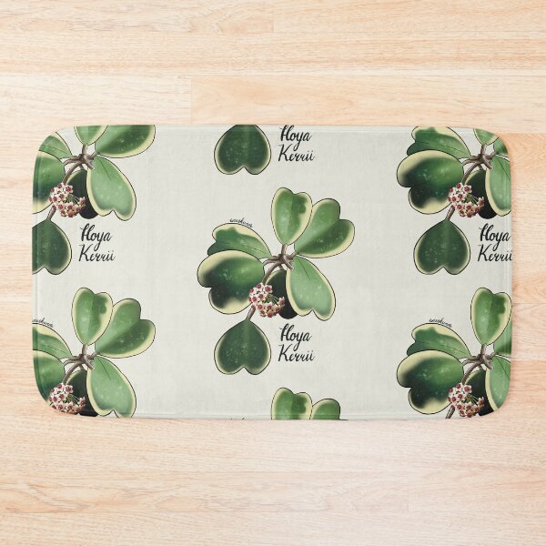 Item preview, Hoya kerrii albomarginata in bloom designed and sold by Wieskunde.