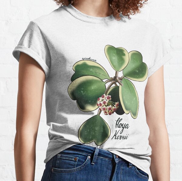 Hoya kerrii albomarginata in bloom Classic T-Shirt