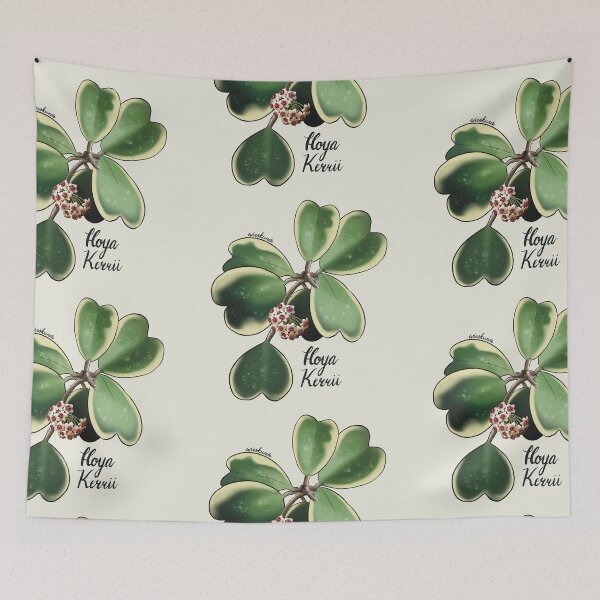 Item preview, Hoya kerrii albomarginata in bloom designed and sold by Wieskunde.