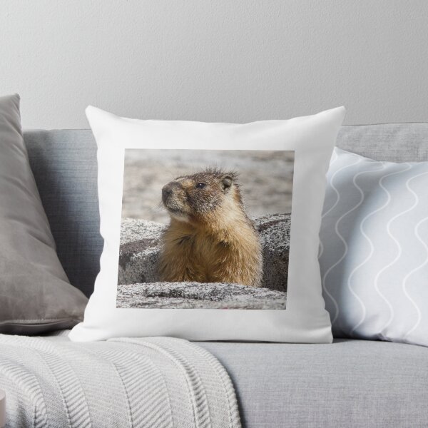 A marmot appears Throw Pillow