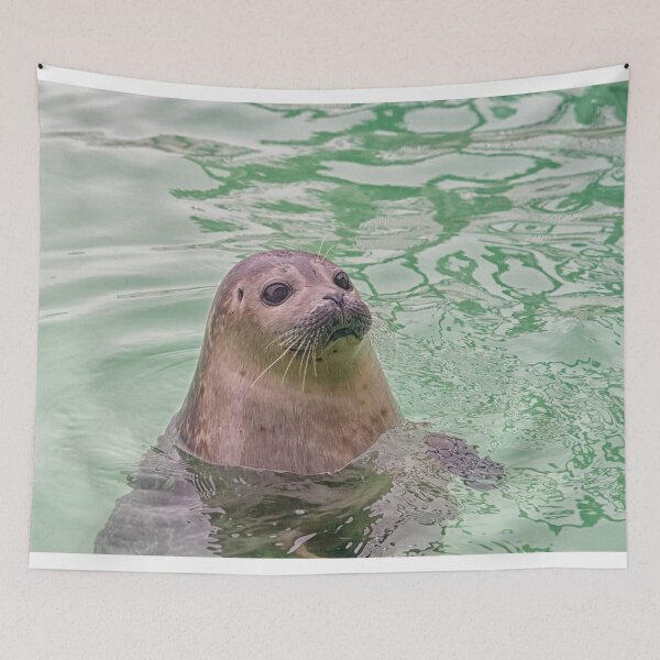 Item preview, Seal in water designed and sold by Photopat.