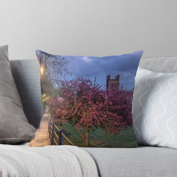 Item preview, Chester Cathedral from the city walls. designed and sold by Paul Madden.