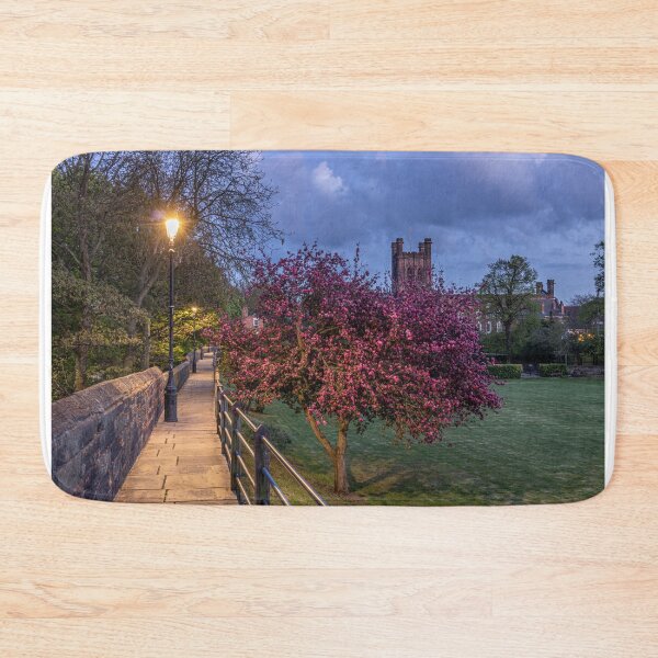 Item preview, Chester Cathedral from the city walls. designed and sold by Paul Madden.