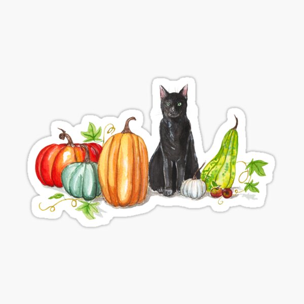 Salem et les citrouilles Sticker