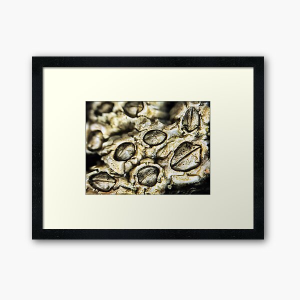 Item preview, Extreme Closeup 3 designed and sold by Charles Oliver Photography.