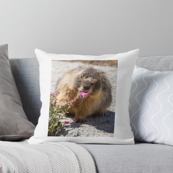Item preview, The marmot who inspects flowers designed and sold by Anthony Brewer.