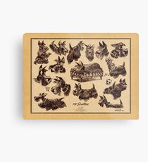 15 scotties Metal Print