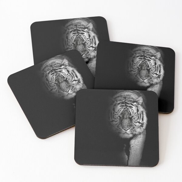 Item preview, Tiger furious , animal isolated , wildlife hunter designed and sold by MarketVisionAV.