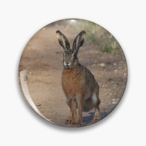 Item preview, Wild Hare designed and sold by Irina777.