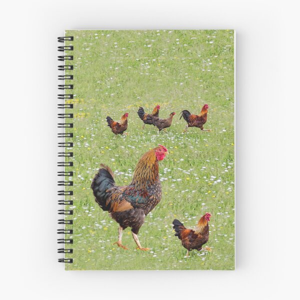 Item preview, Free range designed and sold by Millysuewood.