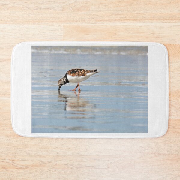 Item preview, Daytona Turnstone designed and sold by Gharial.