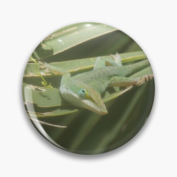 Artikelvorschau, Die anole entworfen und verkauft von Gharial.